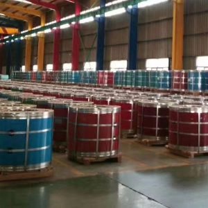 Prepainted galvanized steel coil
