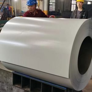 Prepainted galvanized steel coil